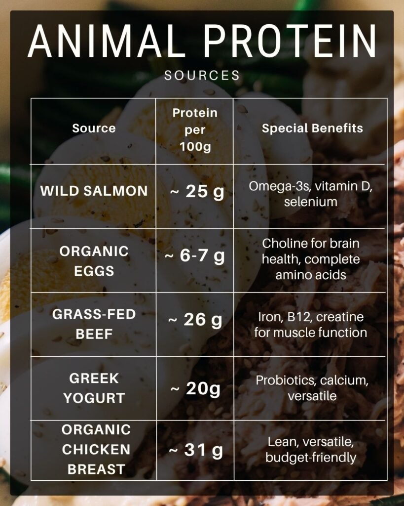 Animal protein content table showing most common animal protein sources and amount of protein per 100g