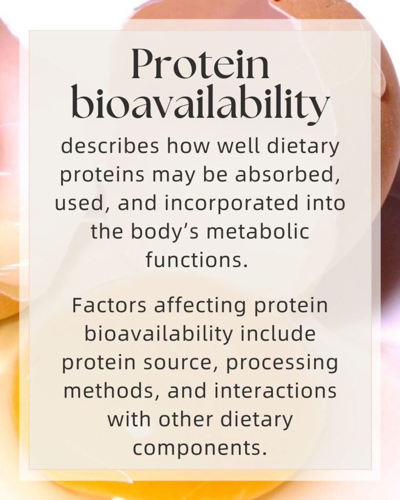 Protein bioavailability definition and explanation for nutrition education
