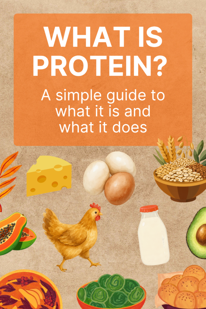 Different sources of protein: eggs, milk, cheesse, chicken, oats.