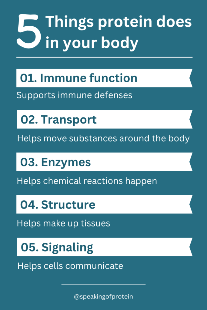 Infographic showing some of the functions of the protein in the body
