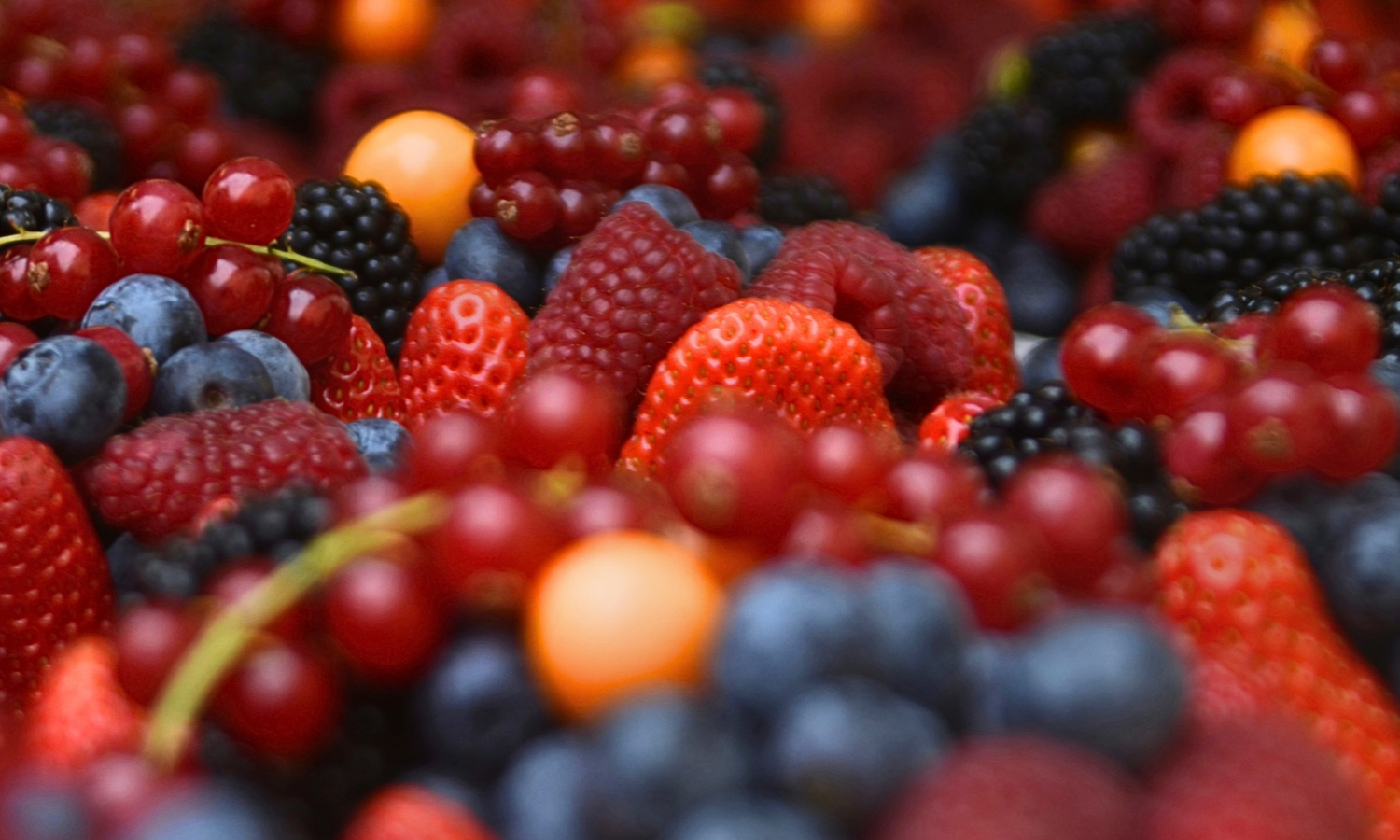 Close-up of different fruits